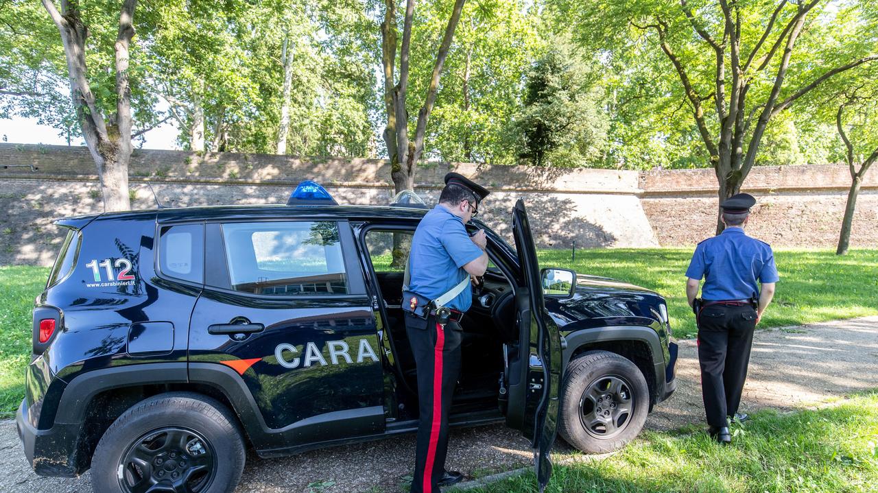 Ferrara. Marijuana nascosta nel parchetto: intervengono i carabinieri
