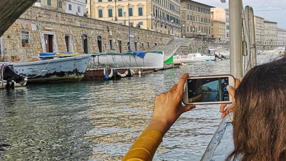 Palcoscenici sotto le stelle e tesori da scoprire: il weekend di Ferragosto a Livorno, Cecina e Rosignano