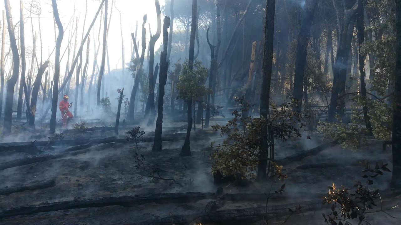Nel 2020 in Toscana sono già andati a fuoco 150 ettari di boschi