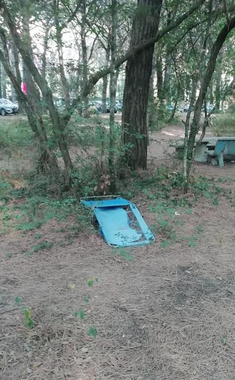 Rifiuti abbandonati in pineta