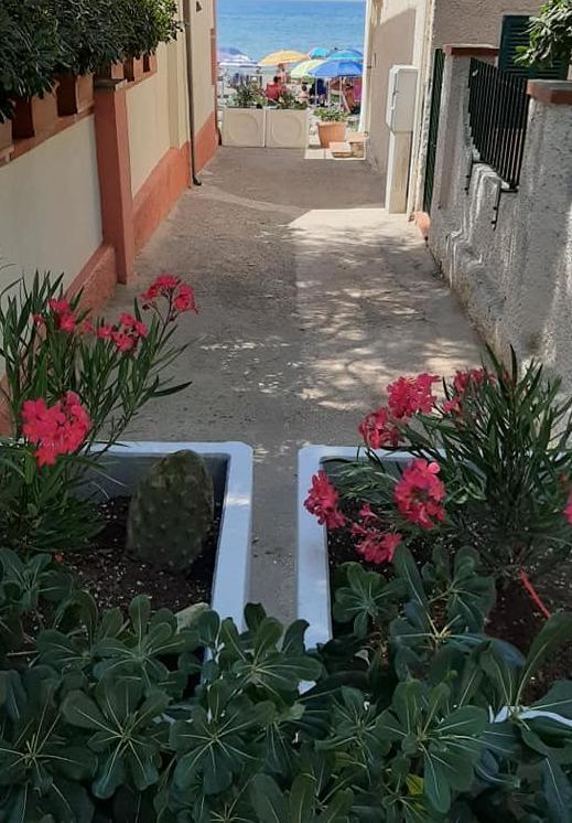 Escrementi e siringhe sugli accessi al mare Installate fioriere per chiudere il passo 