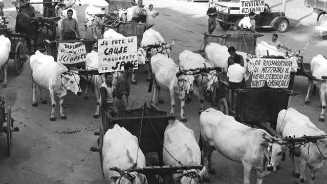 La protesta dei mezzadri a Lamporecchio è la foto che Il Tirreno regalerà martedì 18 agosto ai suoi lettori