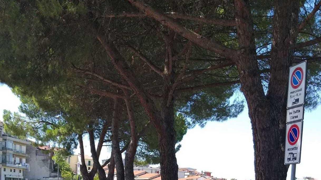 Cinque nuovi stalli per gli autocaravan