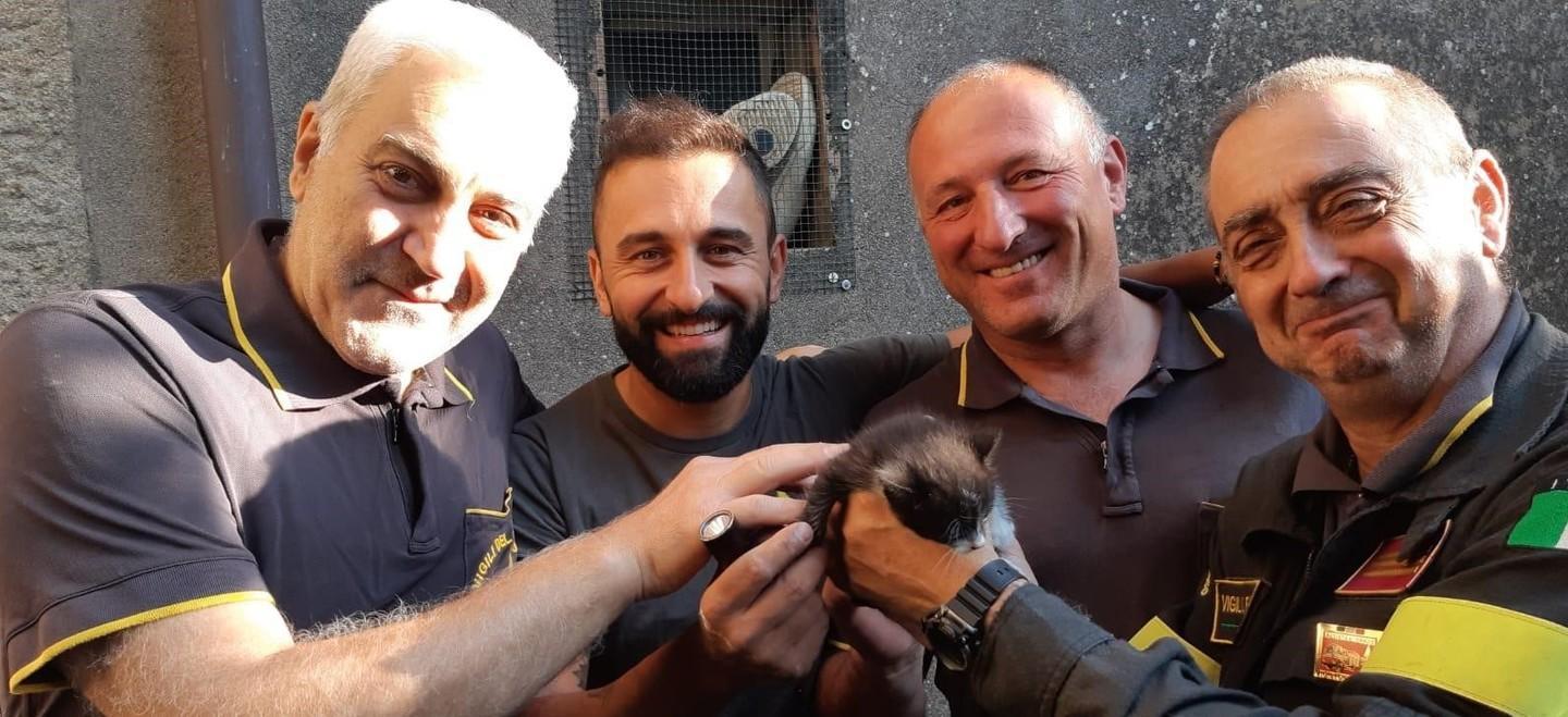 Gattino salvato in extremis grazie a uno stratagemma ideato dai vigili del fuoco 