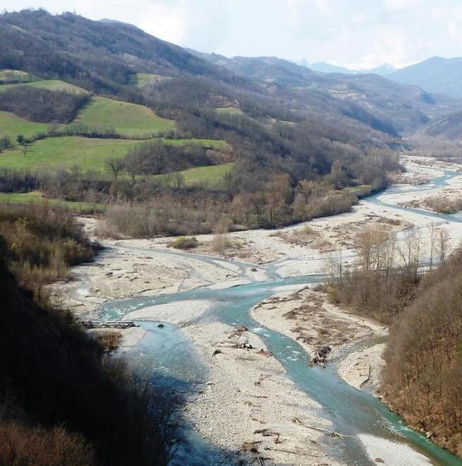 Una domenica di festa col gioco del ruzzolone e visita a castello e scavi