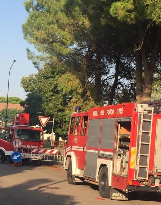 I vigili del fuoco spostano un ramo pericolante nel parco di via Nenni
