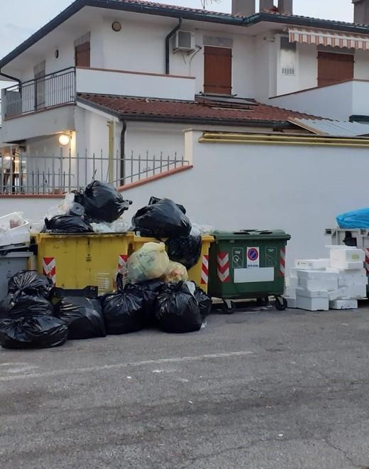 I cumuli di rifiuti attaccati dai gabbiani, a Porto Garibaldi i miasmi crescono 
