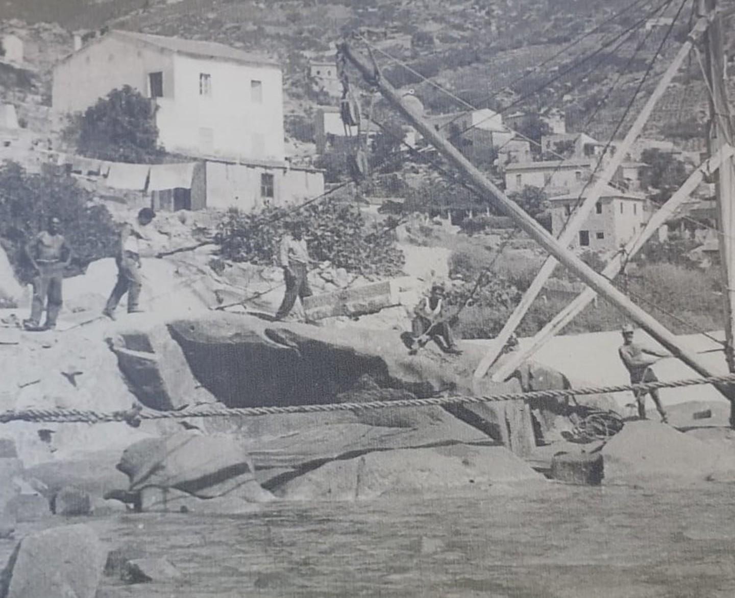 «Bloccare quella strada è come fermare la storia del paese»