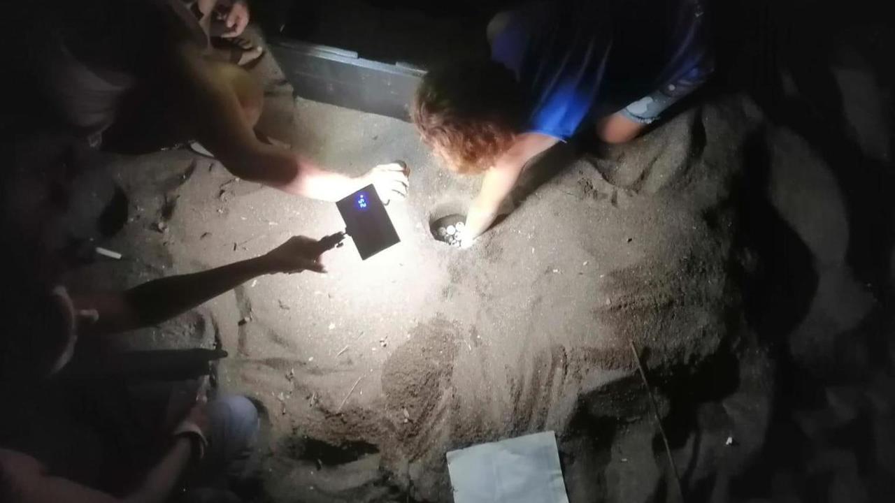 I volontari di Tartamare durante la rimozione del nido a Santa Lucia (foto Tartamare)