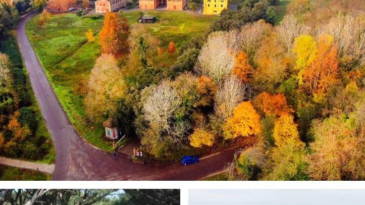 Tutte le sfumature della natura nello scatto dedicato al Parco di San Rossore