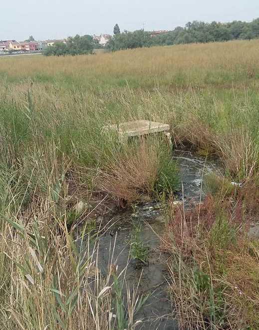 Comacchio, perdita dalle fogne lungo la ciclabile 