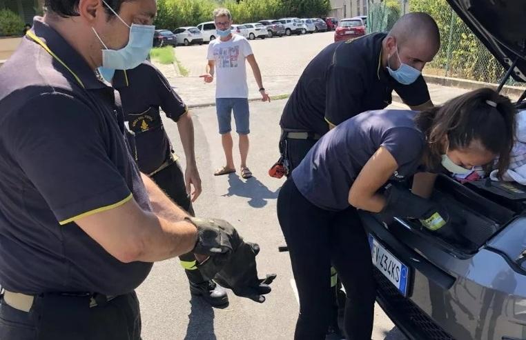 Gattino incastrato nel vano motore da Punta Ala a Prato 