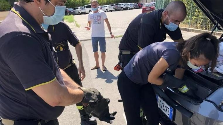 Gattino incastrato nel vano motore da Punta Ala a Prato