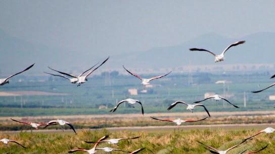 Più di un milione di euro per il futuro della laguna