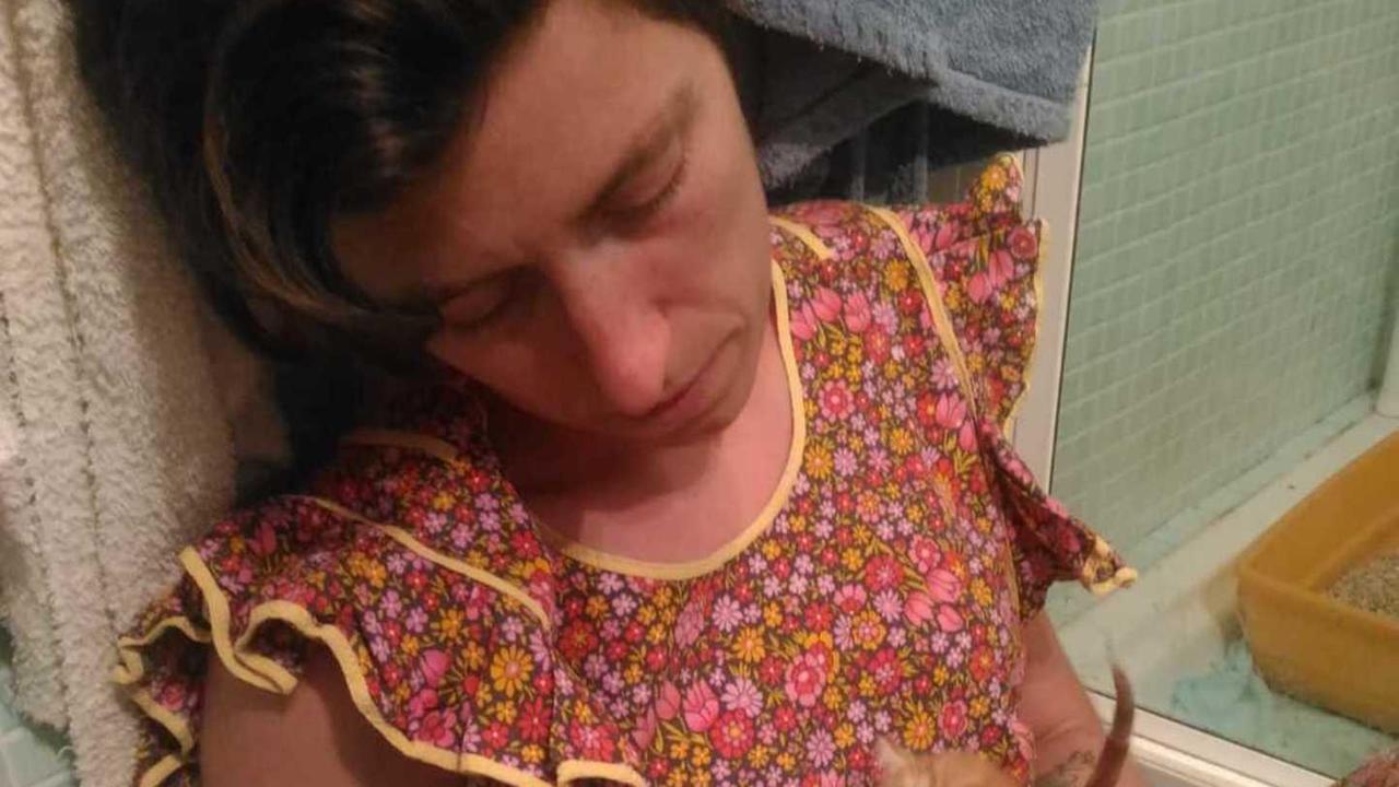 È allarme gattini abbandonati al... canile