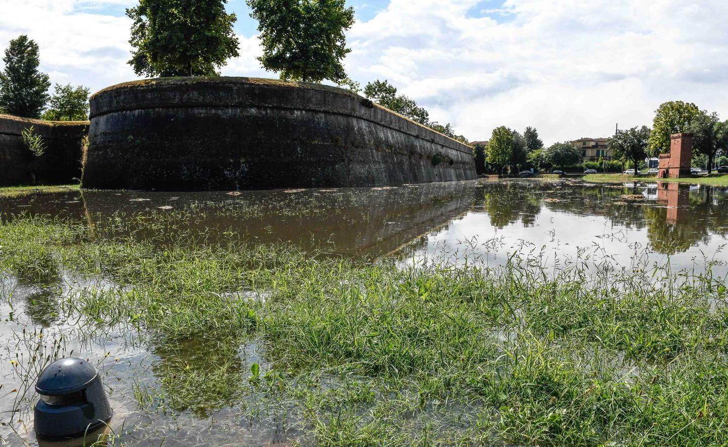 Platano colpito da un fulmine sulle Mura: un grosso ramo cade sulla passeggiata 