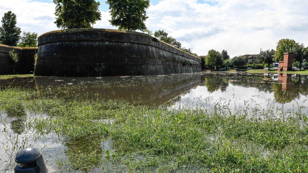 Platano colpito da un fulmine sulle Mura: un grosso ramo cade sulla passeggiata