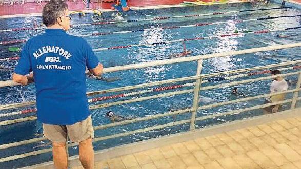 Piscina comunale di Cecina, c’è la data di riapertura