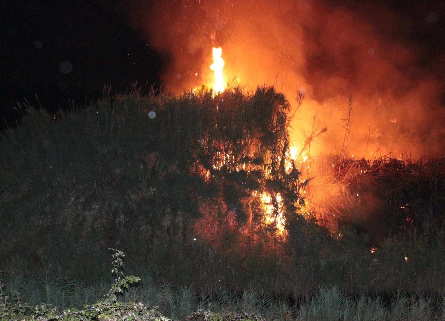 Va a fuoco un isolotto nel padule alle Carbonaie 