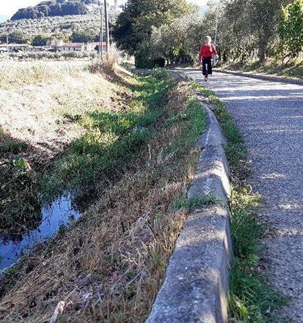 Puzza lungo la ciclabile, colpa della fognatura Da domani i lavori
