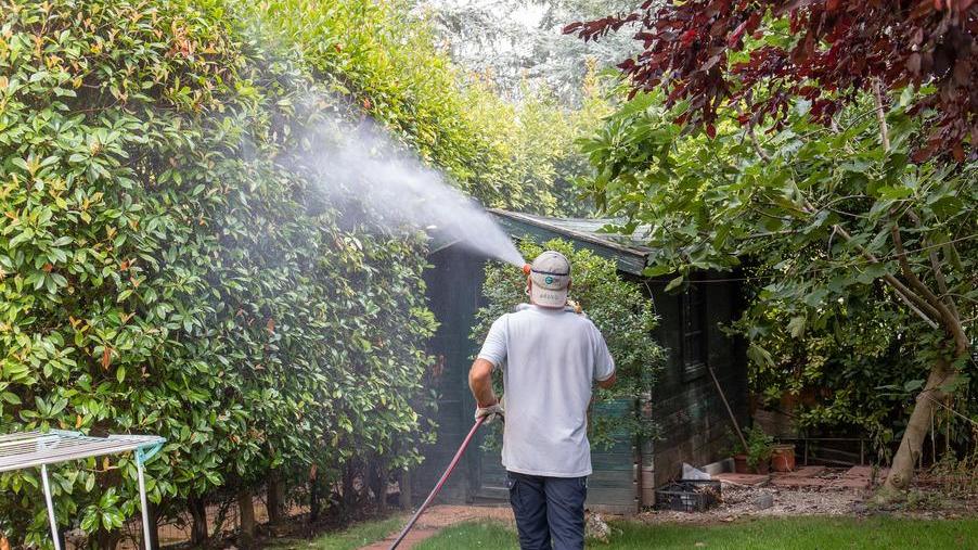 West Nile, il Pd chiede più squadre operative per la disinfestazione