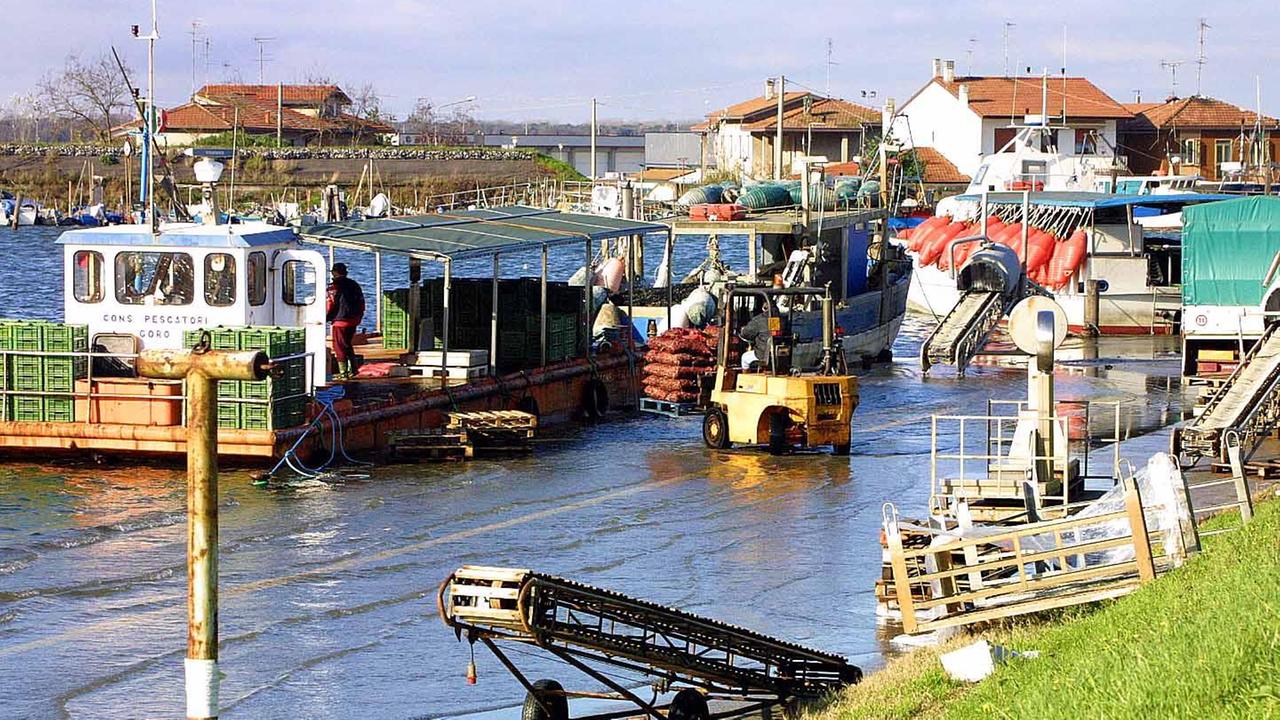 Cade con l'auto nel porto di Goro: illeso