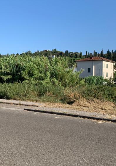 Quaranta famiglie ostaggio del canneto «Rifugio di senzatetto non ne possiamo più» 