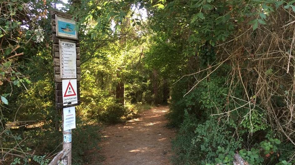 La zona dove è stato trovato il boccone