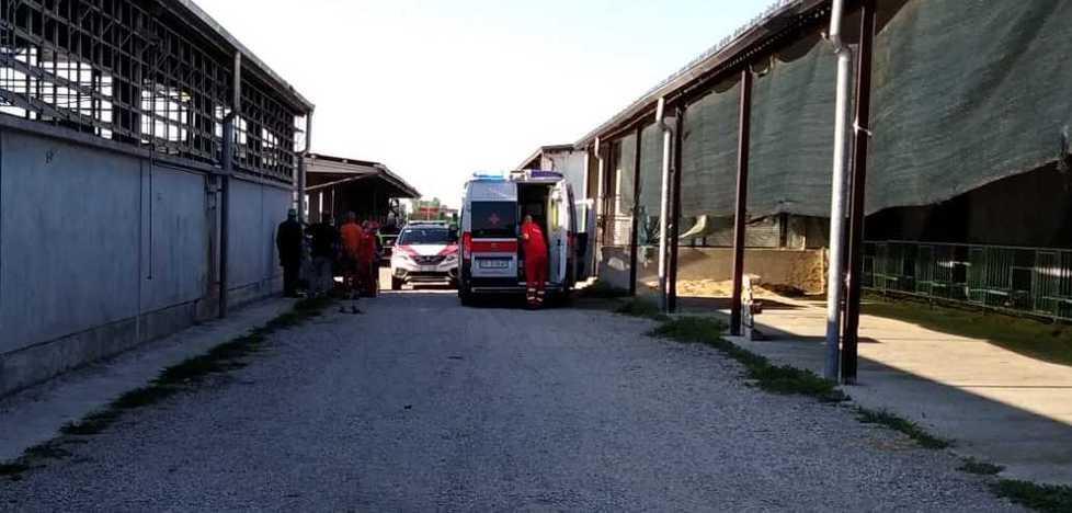 Urtato da una vacca durante la mungitura Resta ferito un 60enne
