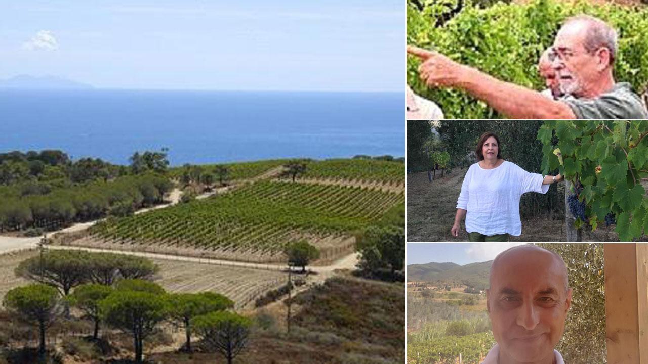 Nella foto grande una parte della vigna della fattoria delle Ripalte, nell’area ex mineraria di Capoliveri
A destra, dall’alto. Italo Sapere (Sapereta),  Letizia Parrini (Santa Caterina) e Gianluigi Rossi (La Sabatinaccia).