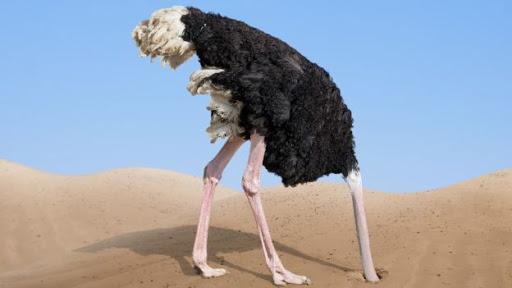 Il Covid e la sindrome dello struzzo
