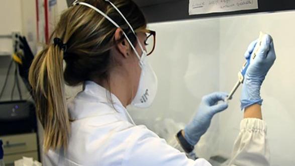 Tamponi in ritardo, l’Ausl di Modena: colpa delle mail
