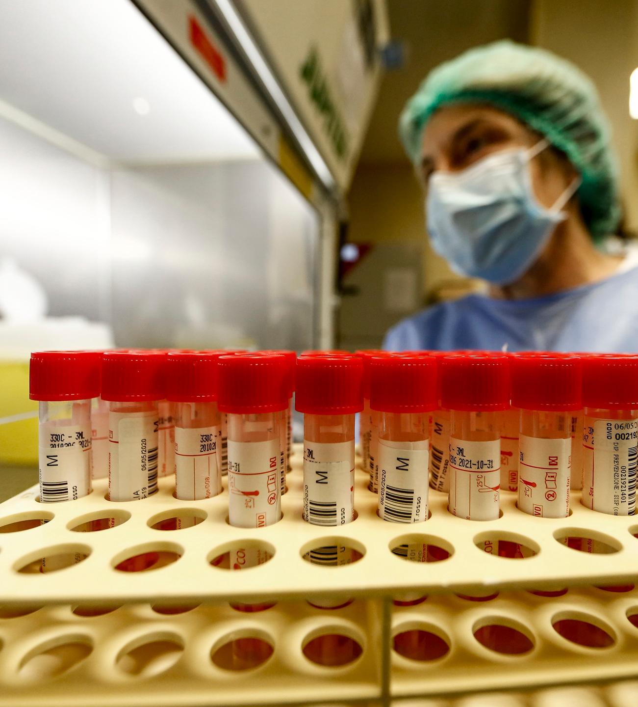 Covid, ieri un solo caso a Lucca Aumenta il numero di tamponi 