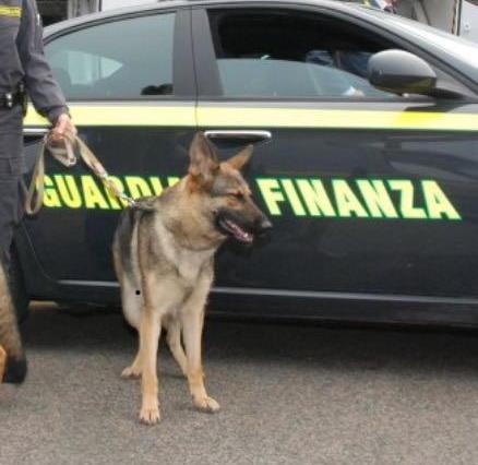 Droga e prodotti contraffatti raffica di controlli sul litorale 