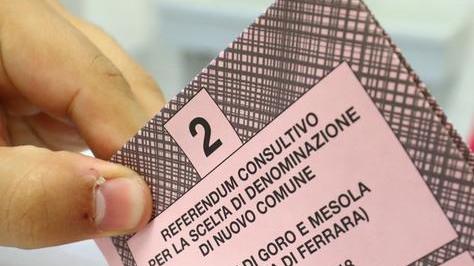 Cosa si vota