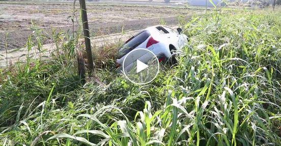 Bosco Mesola, malore in auto: morto gorese di 56 anni