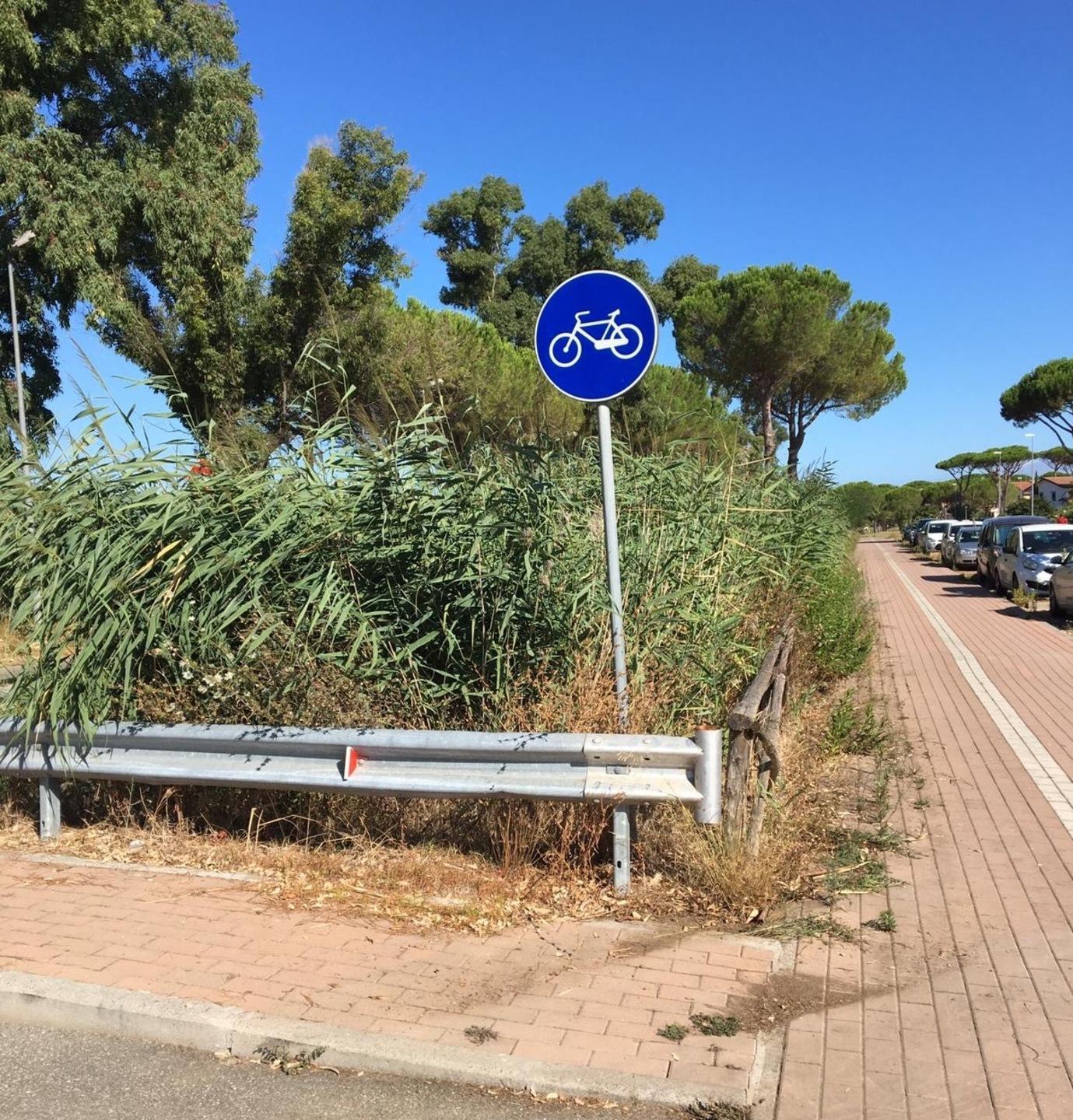 «Fossi sporchi in via del Seggio»