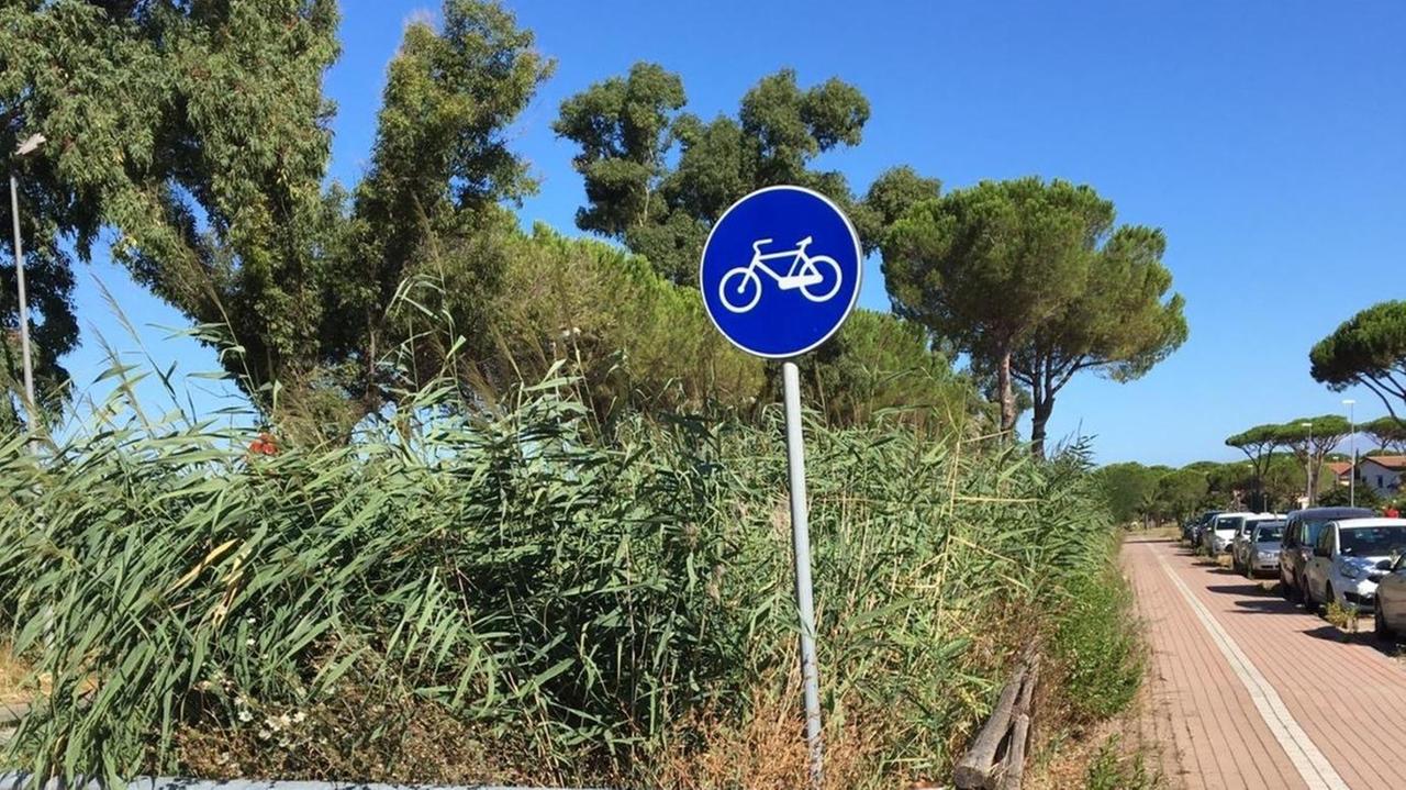 «Fossi sporchi in via del Seggio»