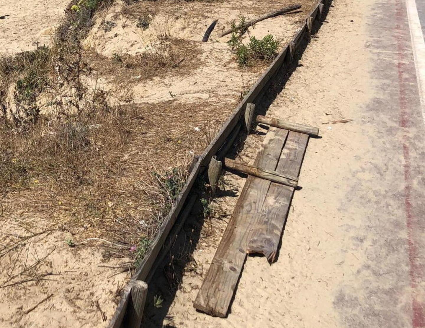 Muretto divelto, duna calpestata e falò sulla spiaggia È allarme vandali 