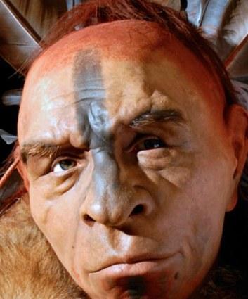 Uno studio “riabilita” l’uomo di Neanderthal