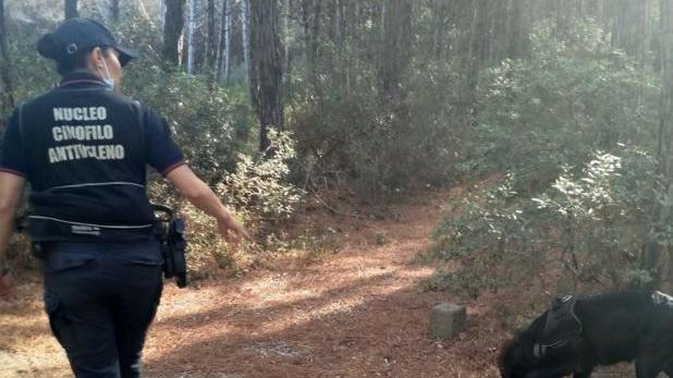 Sopralluogo del nucleo cinofilo dei carabinieri alle Gorette, dove è stato trovato il boccone avvelenato