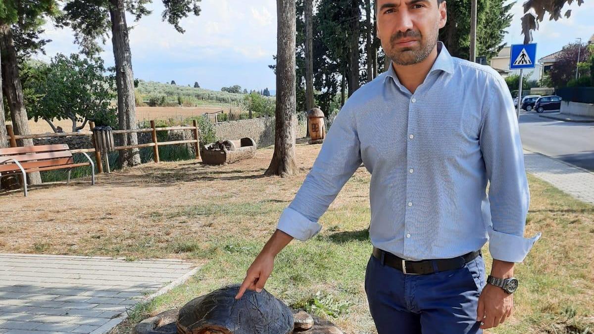 La tartaruga "decapitata" nel parco di via Riva