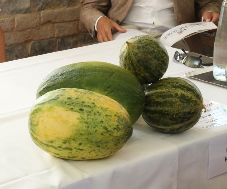 Gli antichi meloni reggiani tornano in auge grazie a Slow Food 