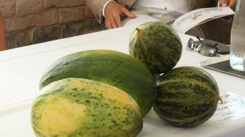 Gli antichi meloni reggiani tornano in auge grazie a Slow Food