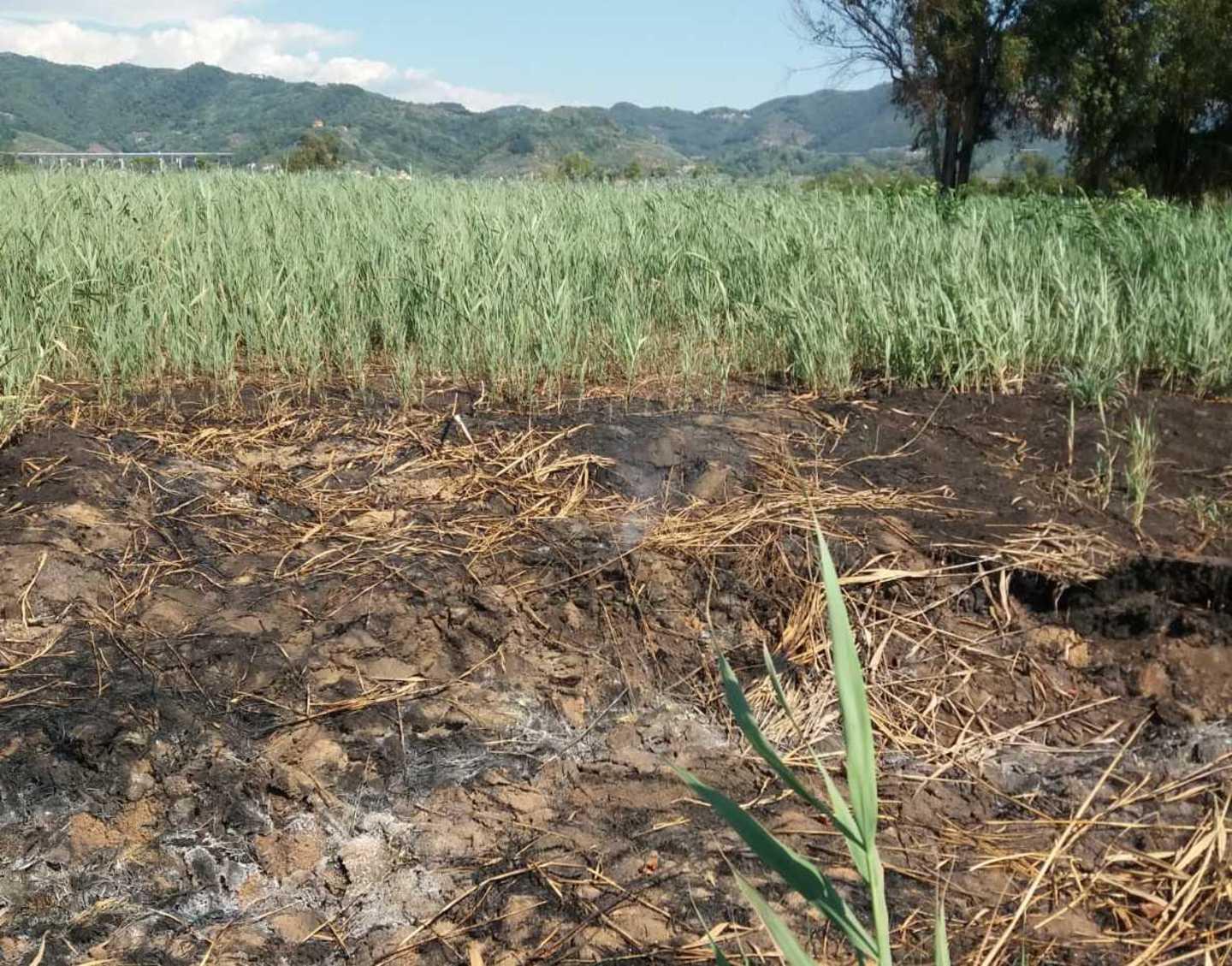 La torba continua a bruciare nei campi, cittadini costretti a respirare miasmi 