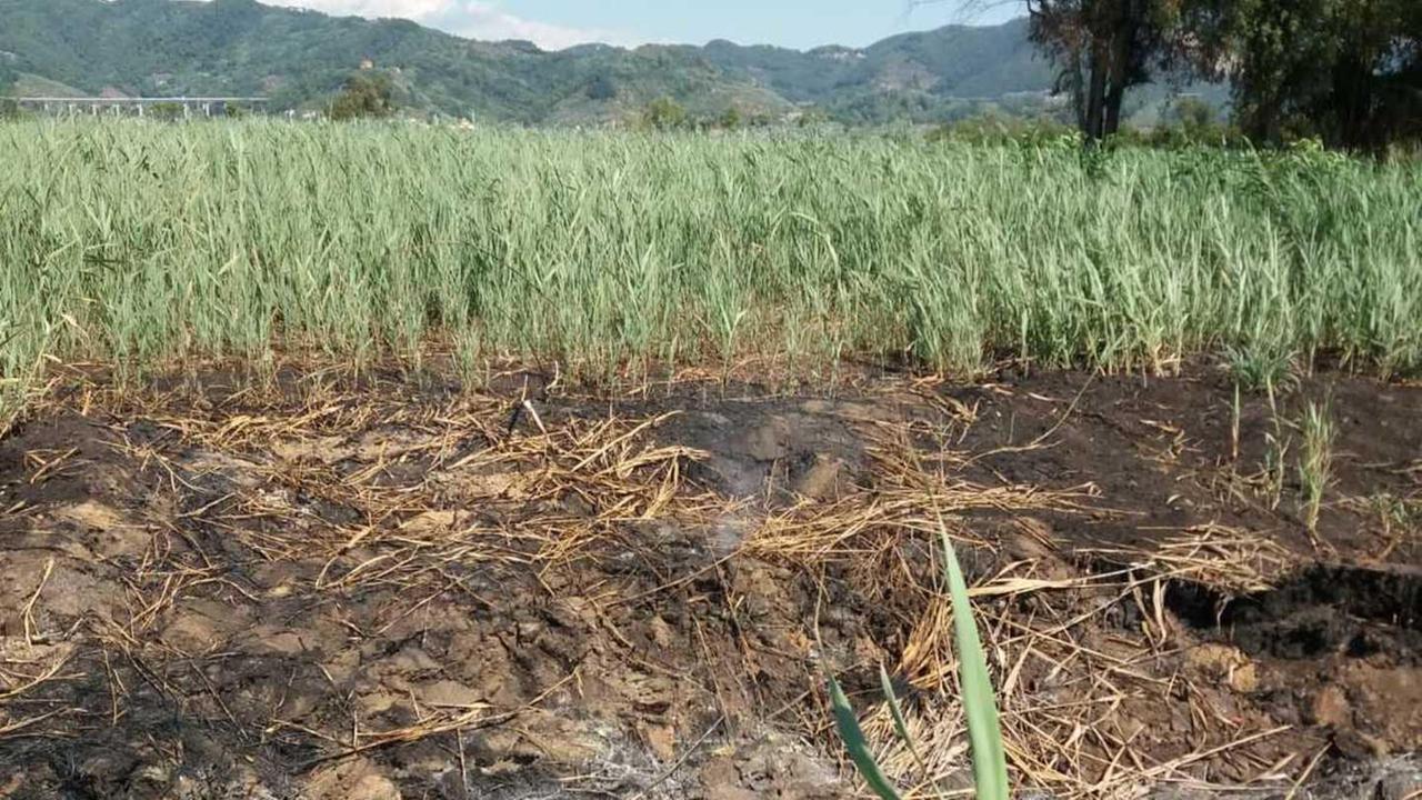 La torba continua a bruciare nei campi, cittadini costretti a respirare miasmi