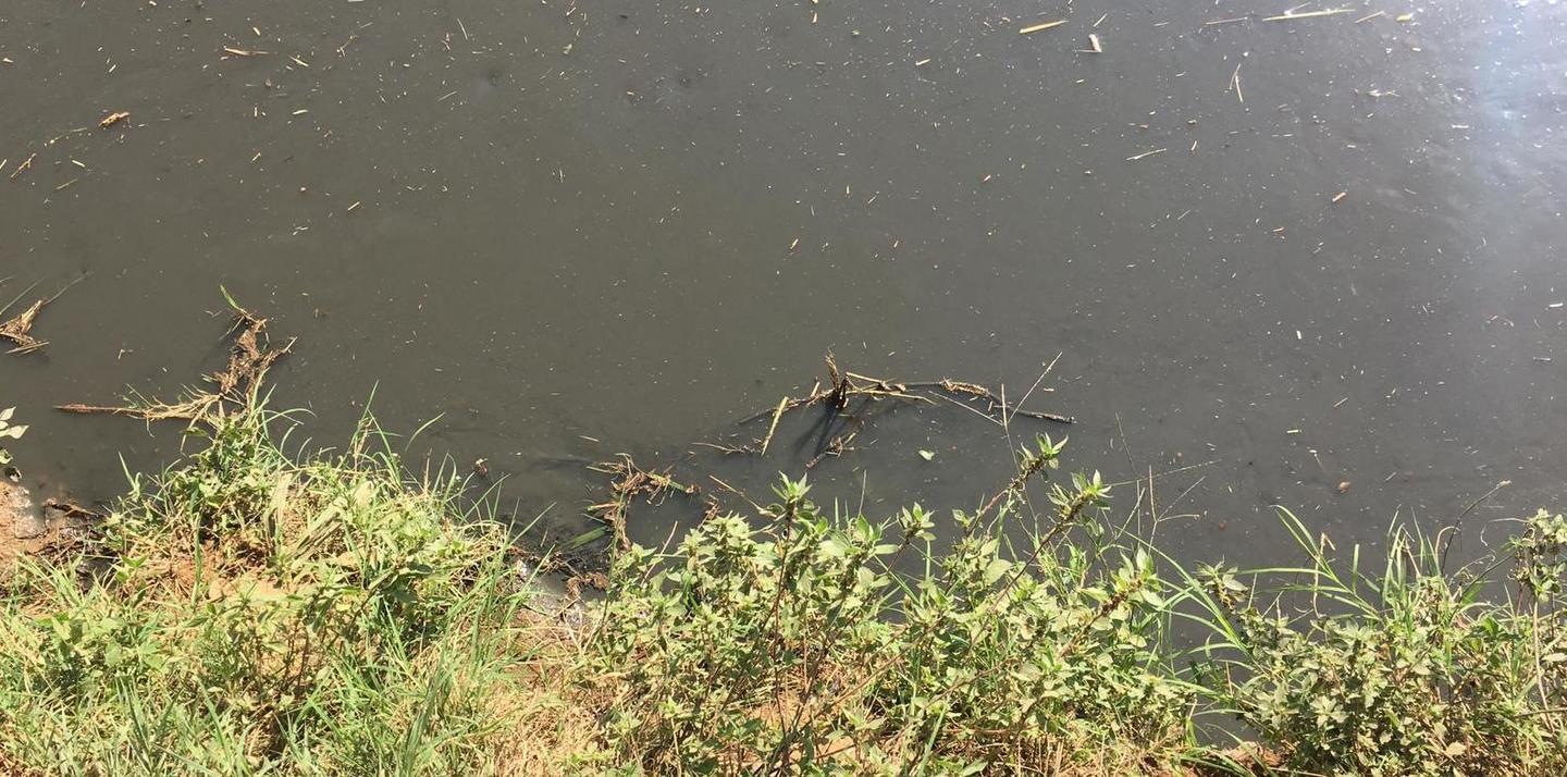 Ci sono i lavori e l’acqua della Gora è di nuovo nera 