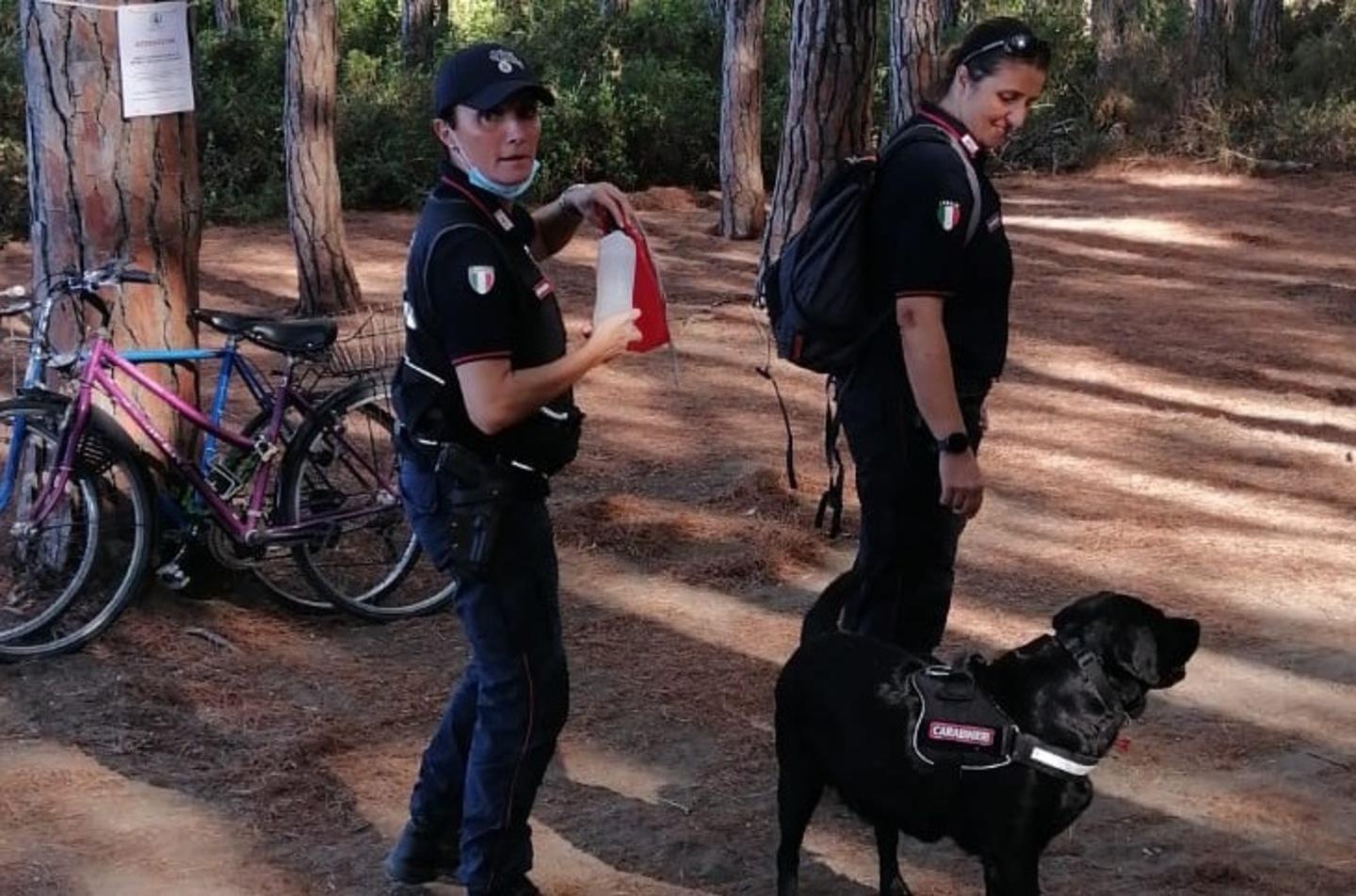 Allarme esche nella pineta bonifica coi cani anti-veleno 