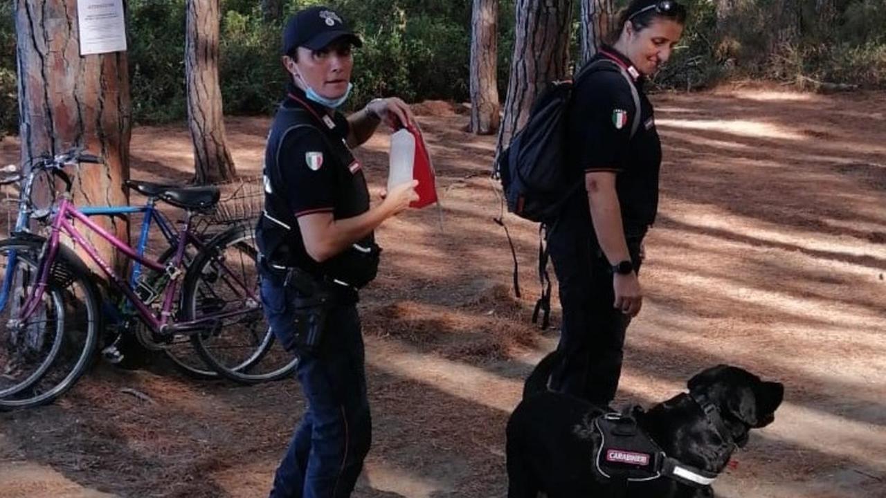 Allarme esche nella pineta bonifica coi cani anti-veleno