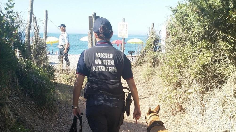 Un reato punito fino a 18 mesi di reclusione